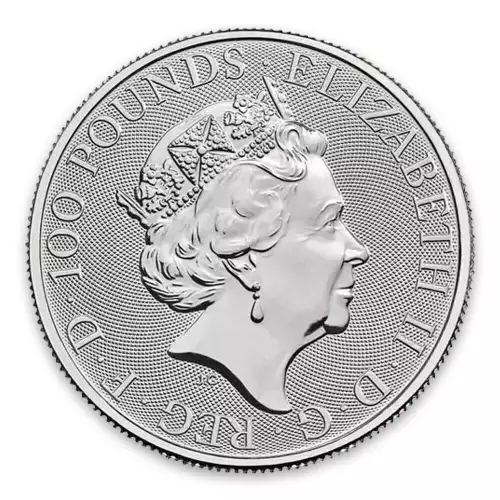 2019 1oz British Platinum Britannia Coin (2)